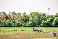 Watermark_10IMG_8872