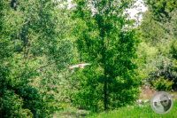 Watermark_12IMG_8874