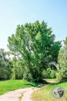 Watermark_14IMG_8876