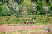 Watermark_16IMG_8879