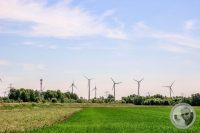 Watermark_1IMG_8863