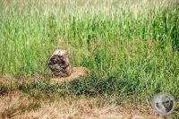 Watermark_23IMG_8891