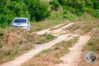 Watermark_29IMG_8897