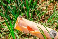 Watermark_30IMG_8899