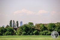Watermark_6IMG_8868