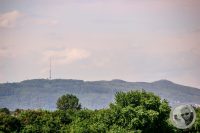 Watermark_8IMG_8870