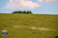 Watermark_13IMG_8982