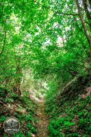 Watermark_14IMG_8983