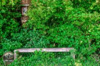 Watermark_18IMG_8987