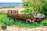 Watermark_44IMG_9013