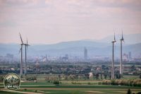 Watermark_48IMG_9017