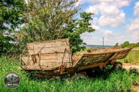 Watermark_50IMG_9019