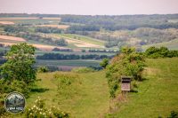 Watermark_52IMG_9021