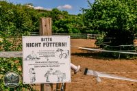 Watermark_71IMG_9040