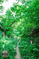 Watermark_8IMG_8977