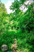 Watermark_9IMG_8978