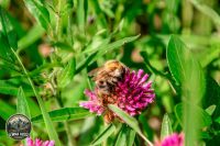 Watermark_14IMG_9694