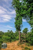 Watermark_17IMG_9697