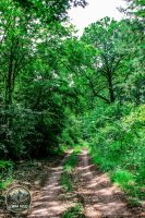 Watermark_26IMG_9708