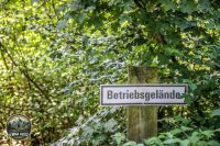 Watermark_28IMG_9710