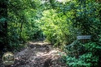 Watermark_29IMG_9711