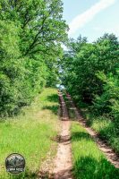 Watermark_31IMG_9713