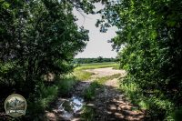 Watermark_35IMG_9717