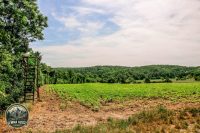 Watermark_36IMG_9718