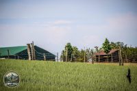 Watermark_40IMG_9722