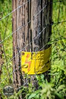 Watermark_43IMG_9725