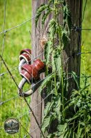 Watermark_44IMG_9726