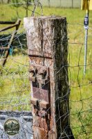Watermark_49IMG_9735