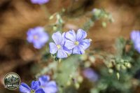 Watermark_50IMG_9736
