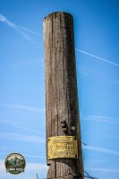 Watermark_52IMG_9738