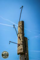 Watermark_53IMG_9739