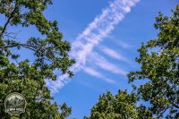 Watermark_56IMG_9742