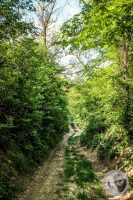 Watermark_10IMG_8834