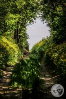 Watermark_12IMG_8839