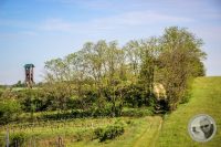 Watermark_18IMG_8848
