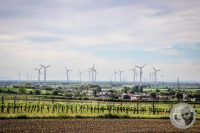 Watermark_1IMG_8813