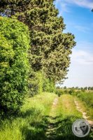 Watermark_24IMG_8854