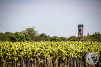 Watermark_4IMG_8827