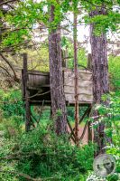 Watermark_16IMG_8918