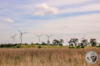 Watermark_1IMG_8903