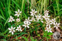 Watermark_33IMG_8935