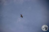 Watermark_38IMG_8940
