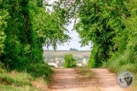 Watermark_44IMG_8946