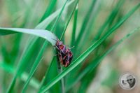 Watermark_48IMG_8950