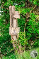 Watermark_49IMG_8951