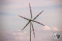 Watermark_6IMG_8908